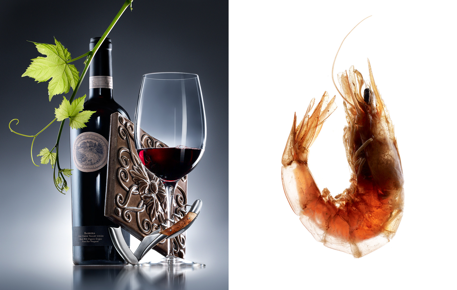 BarberaWine-Shrimp